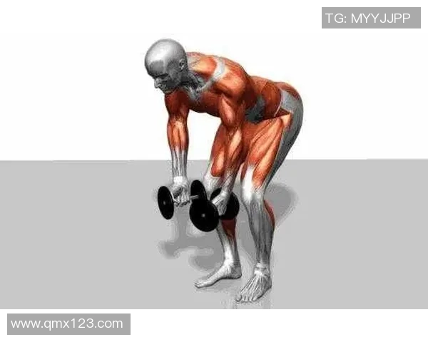 哑铃怎么使用才能有效锻炼全身肌肉提升力量与耐力